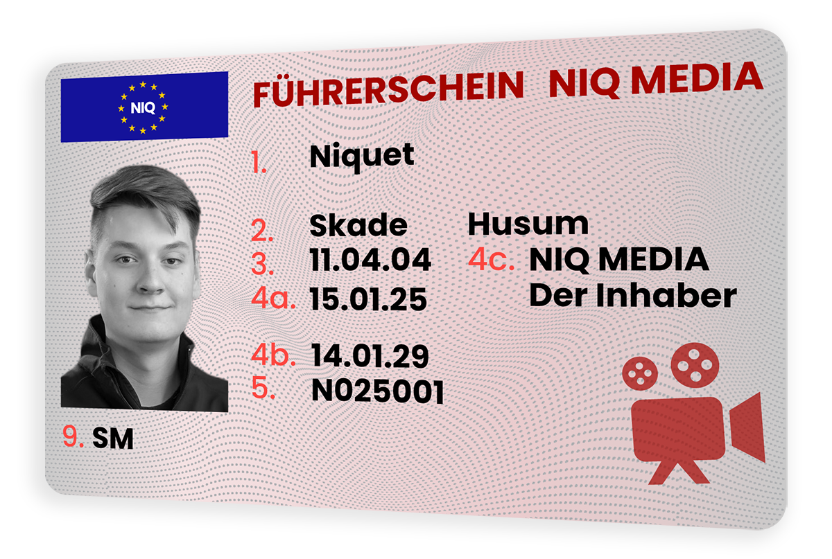 Social Media Führerschein NIQ